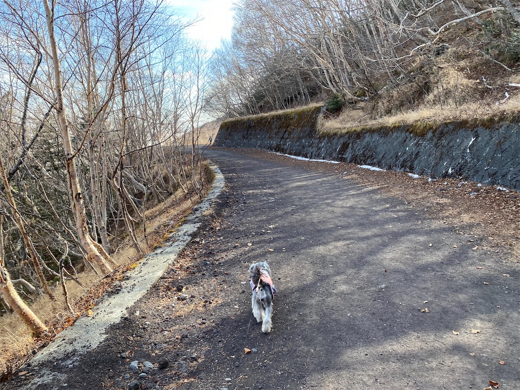 f:id:reiapapa:20211122165659j:image