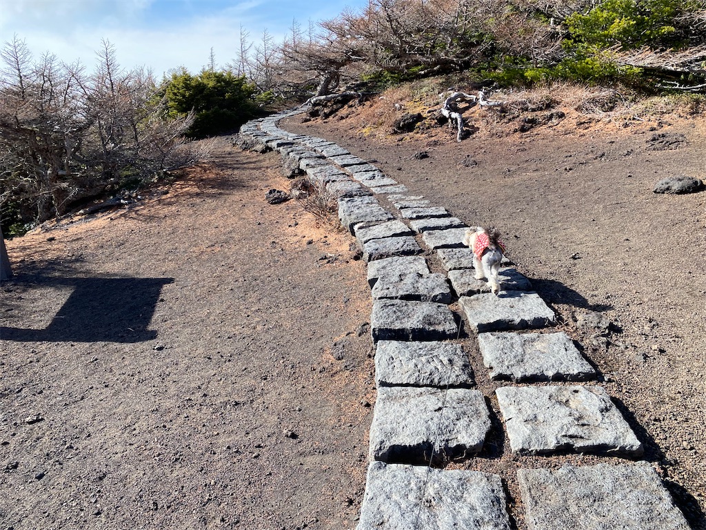 f:id:reiapapa:20211122171242j:image