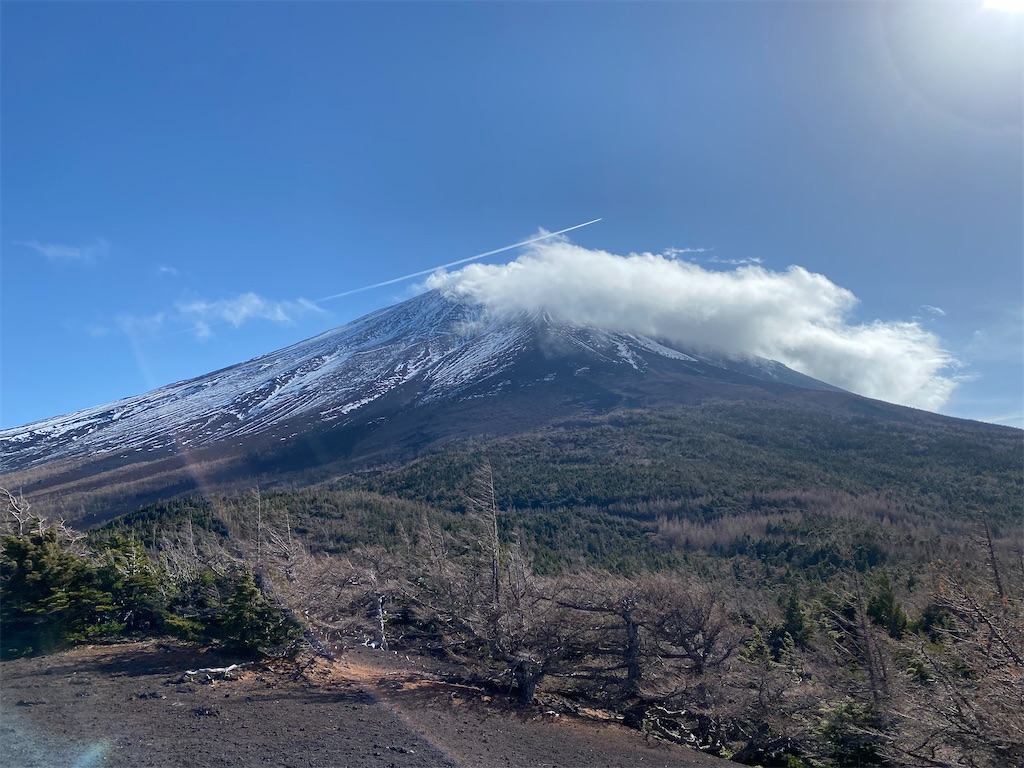 f:id:reiapapa:20211122171542j:image