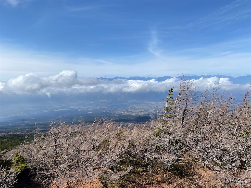 f:id:reiapapa:20211122172312j:image