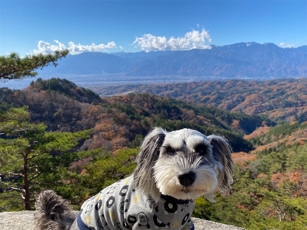 f:id:reiapapa:20211128140955j:image