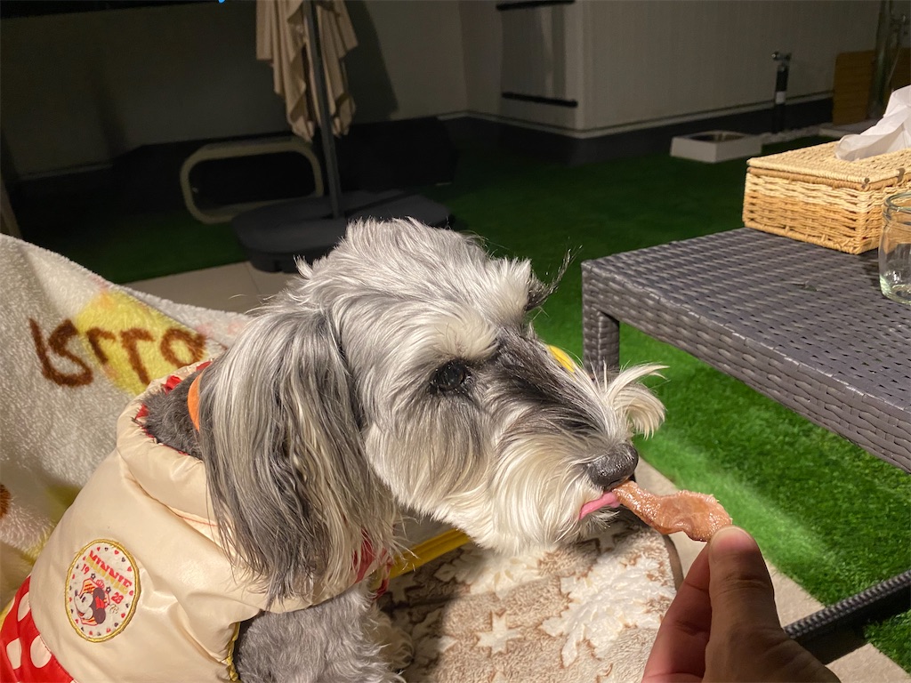 f:id:reiapapa:20211212201512j:image