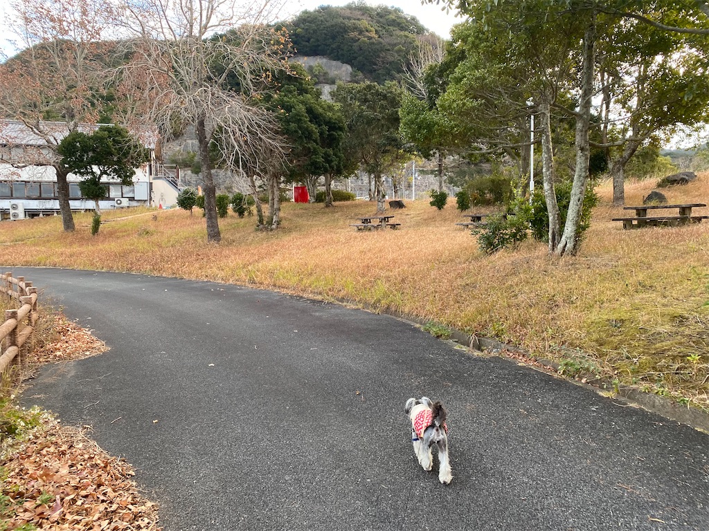 f:id:reiapapa:20220106150756j:image