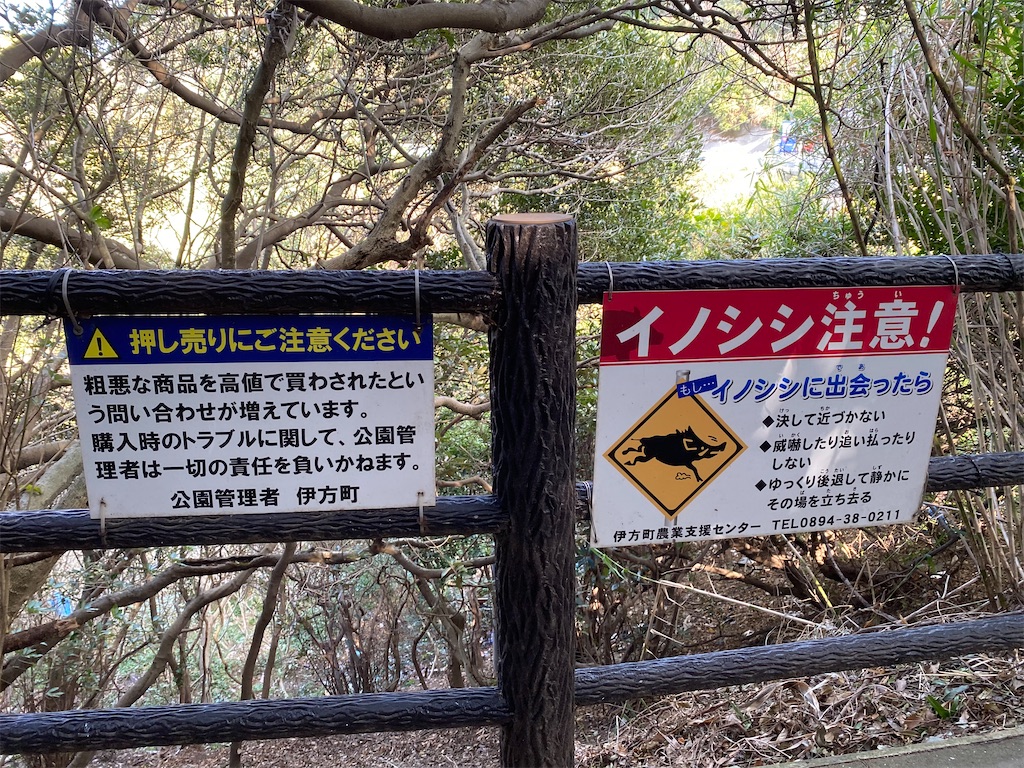 f:id:reiapapa:20220108195157j:image f:id:reiapapa:20220108195157j:image