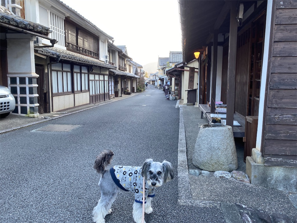 f:id:reiapapa:20220111230249j:image f:id:reiapapa:20220111230249j:image