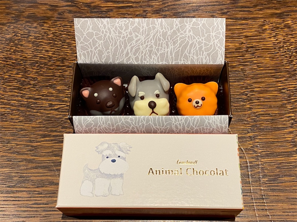 f:id:reiapapa:20220209182853j:image