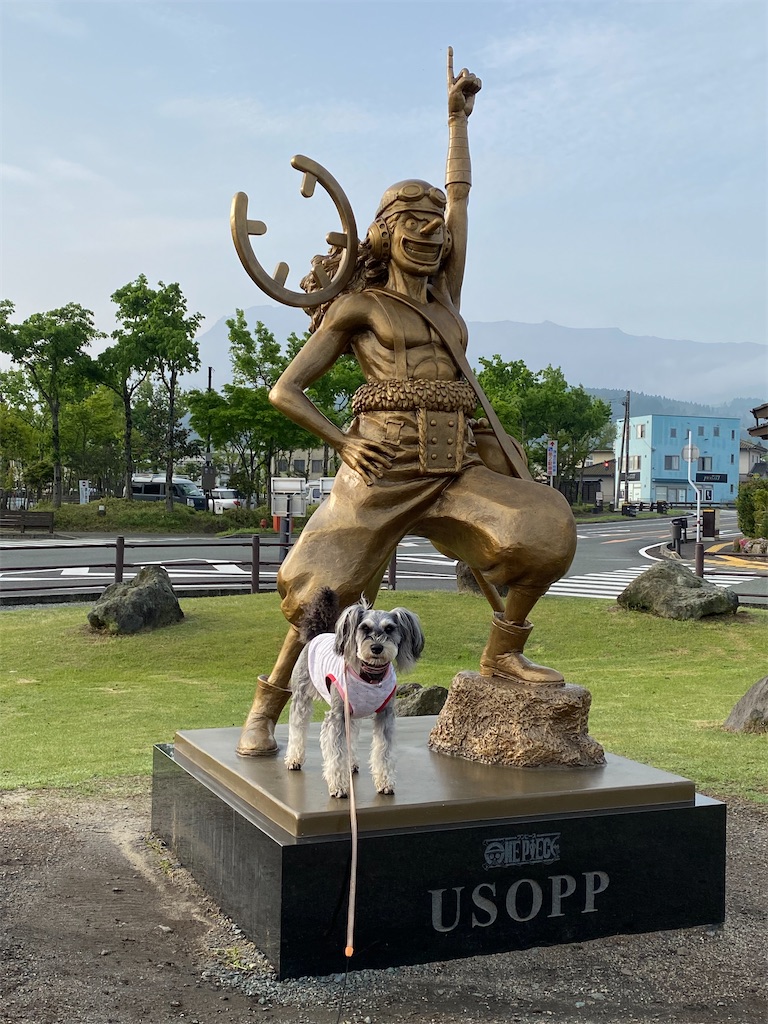 f:id:reiapapa:20220430085052j:image