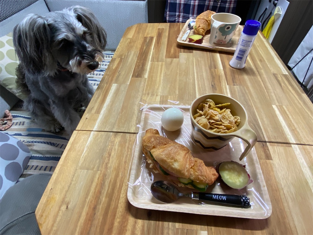 f:id:reiapapa:20220430085305j:image