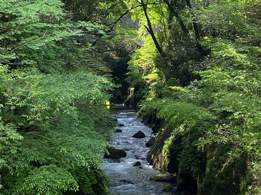 f:id:reiapapa:20220501090342j:image