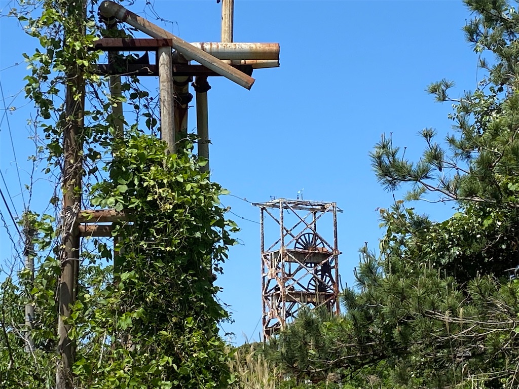 f:id:reiapapa:20220505212835j:image