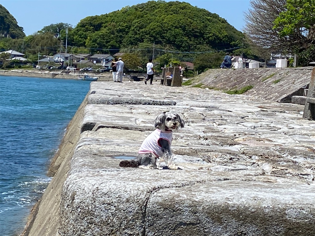 f:id:reiapapa:20220511175301j:image