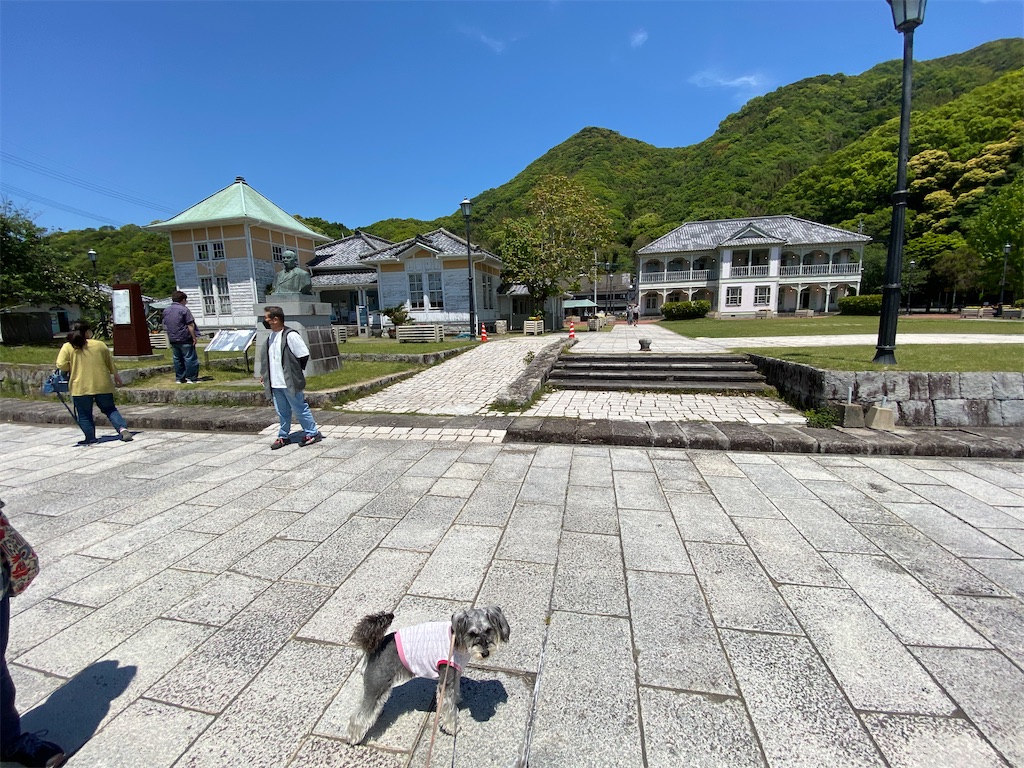 f:id:reiapapa:20220511175607j:image