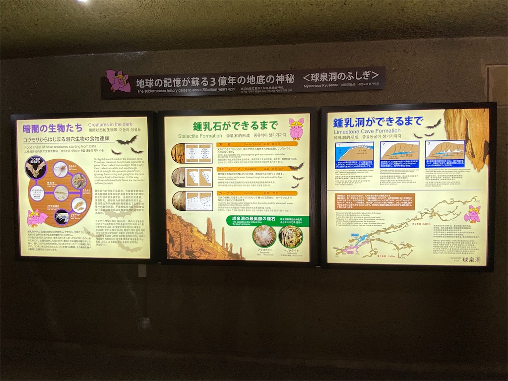 f:id:reiapapa:20220511201528j:image