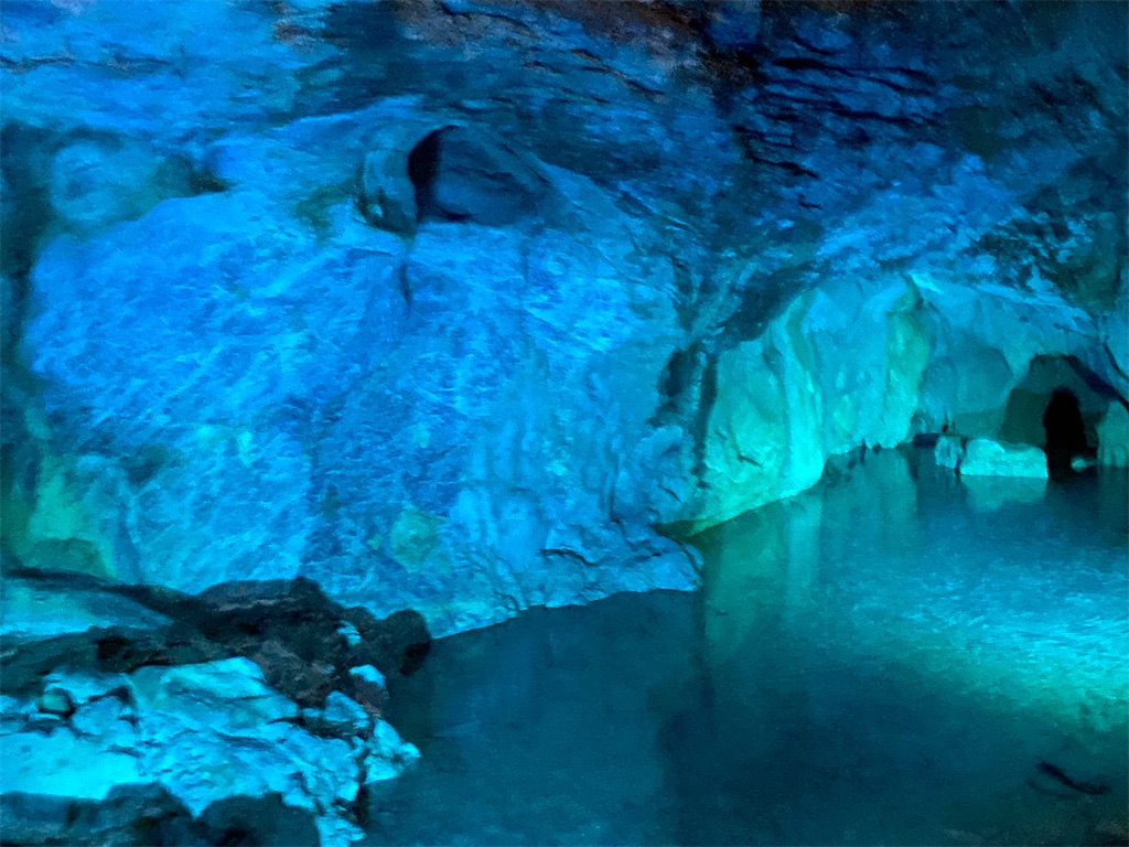 f:id:reiapapa:20220511202801j:image