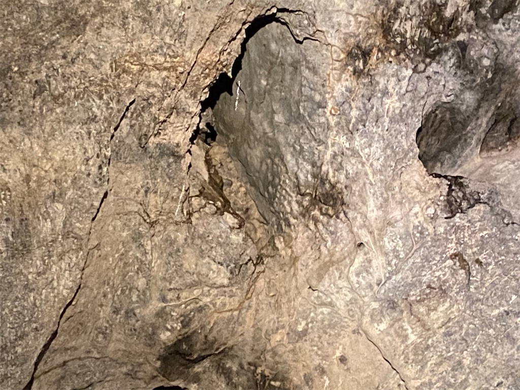 f:id:reiapapa:20220511203009j:image