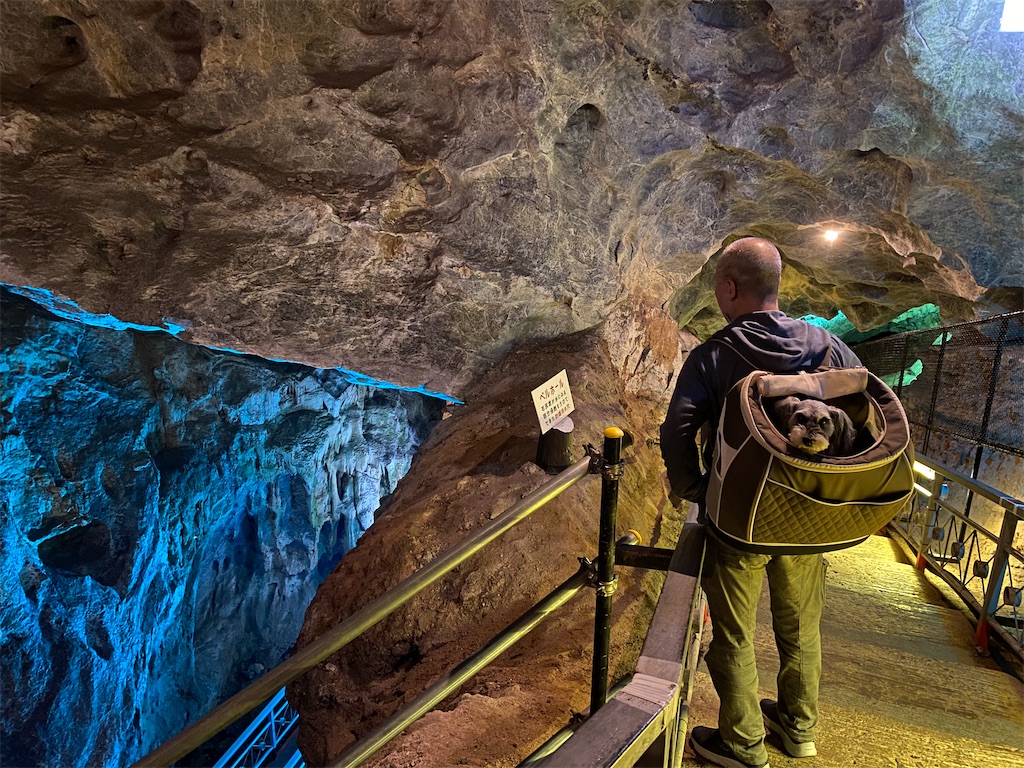 f:id:reiapapa:20220511210801j:image