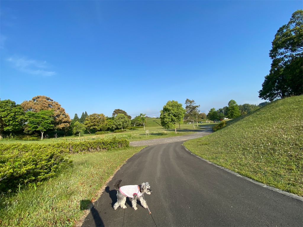 f:id:reiapapa:20220513200428j:image