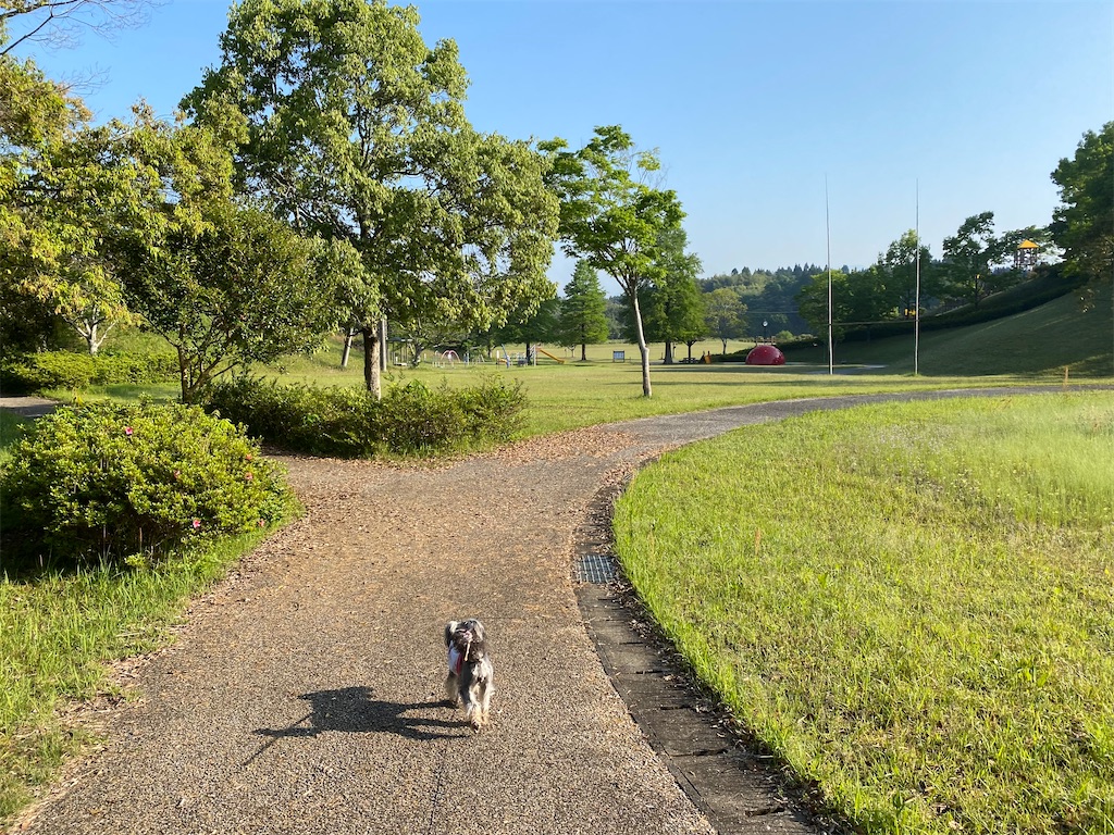 f:id:reiapapa:20220513200613j:image