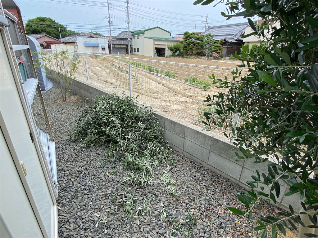 f:id:reiapapa:20220608132329j:image