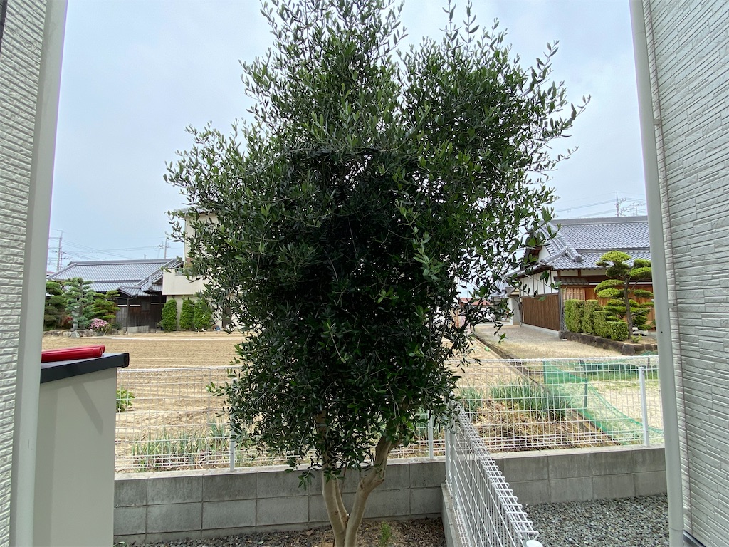 f:id:reiapapa:20220608132340j:image