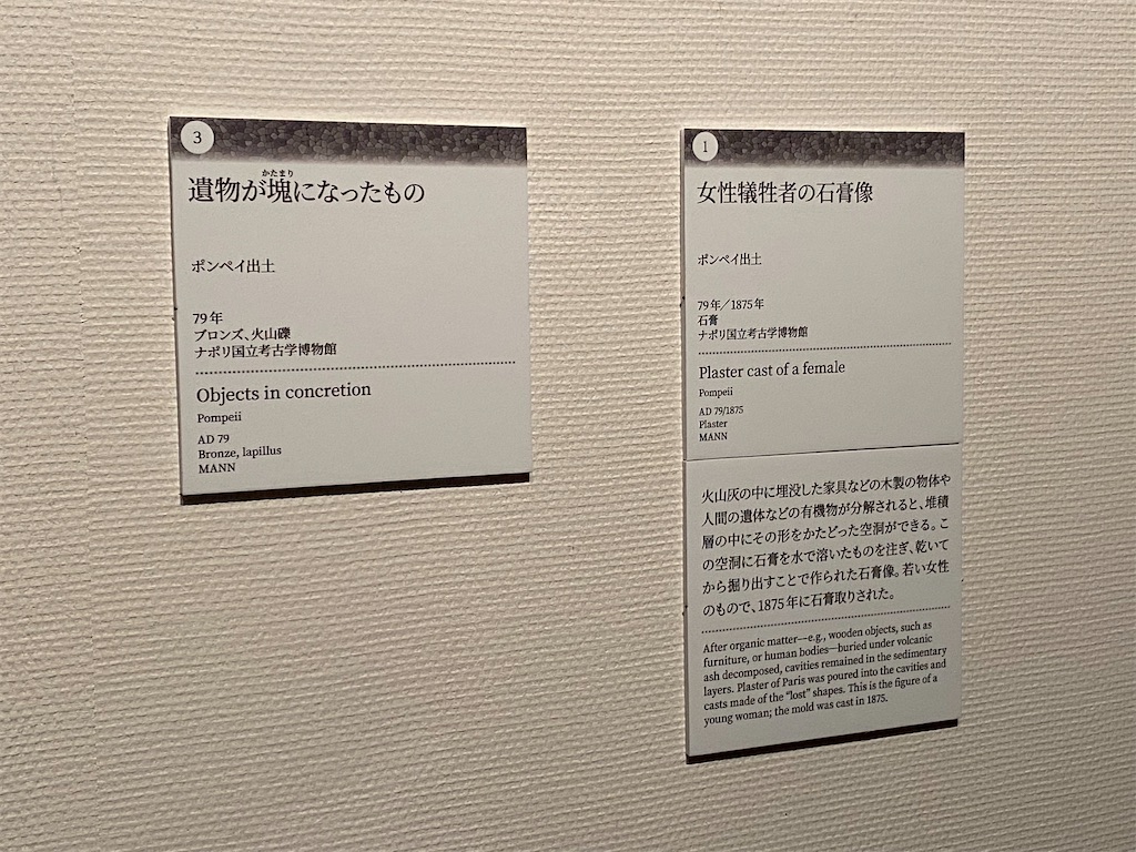 f:id:reiapapa:20220703074246j:image