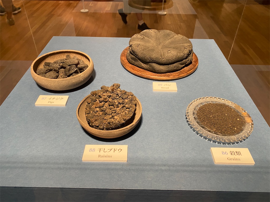 f:id:reiapapa:20220703075306j:image