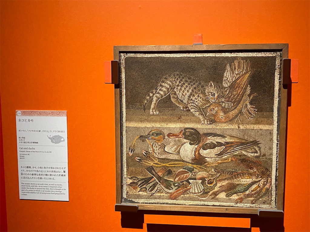 f:id:reiapapa:20220703075313j:image