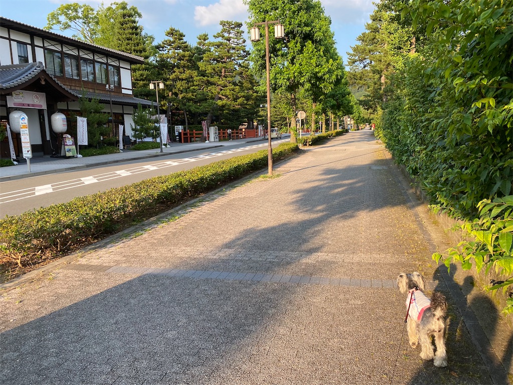 f:id:reiapapa:20220703082254j:image