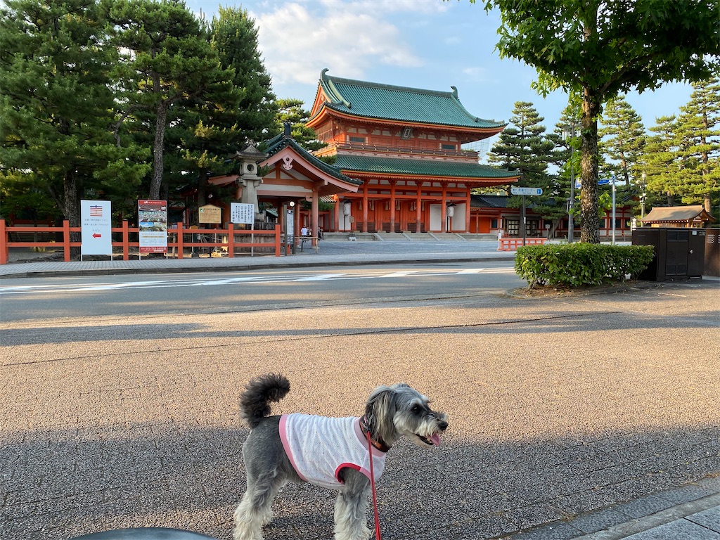 f:id:reiapapa:20220703082257j:image