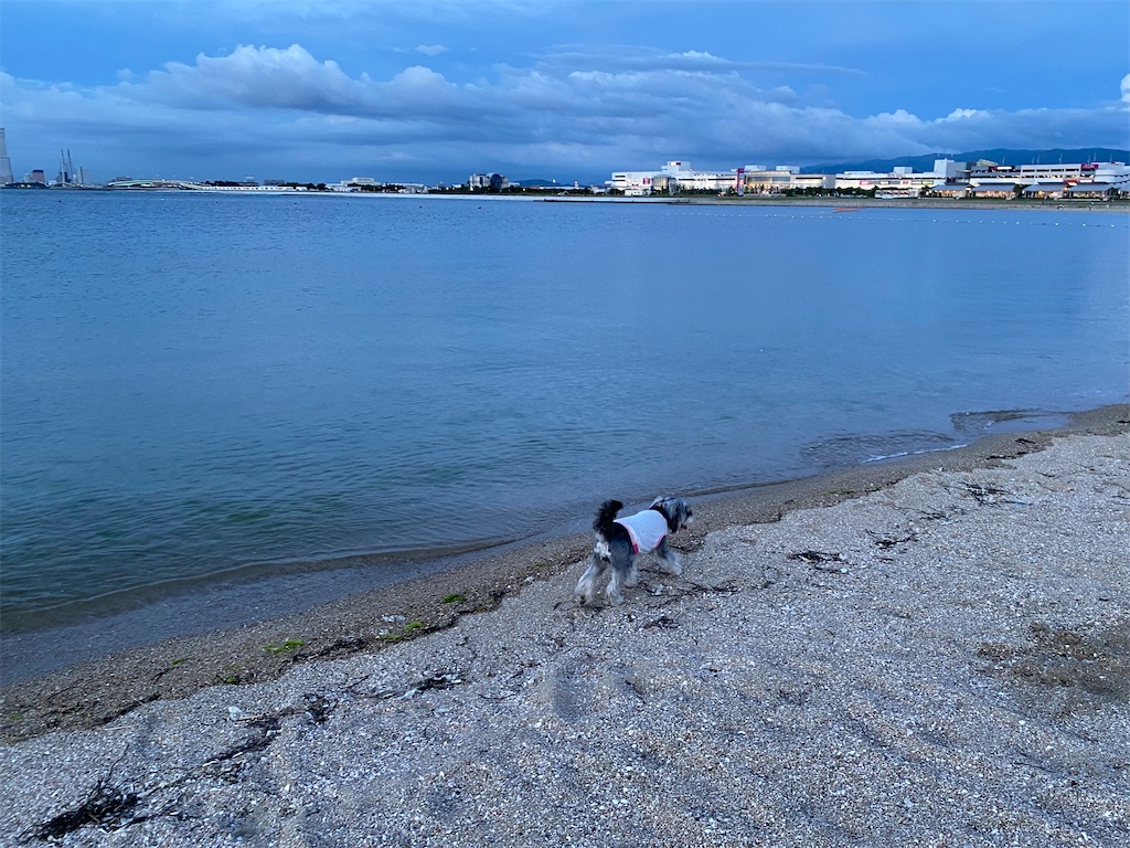 f:id:reiapapa:20220730192025j:image