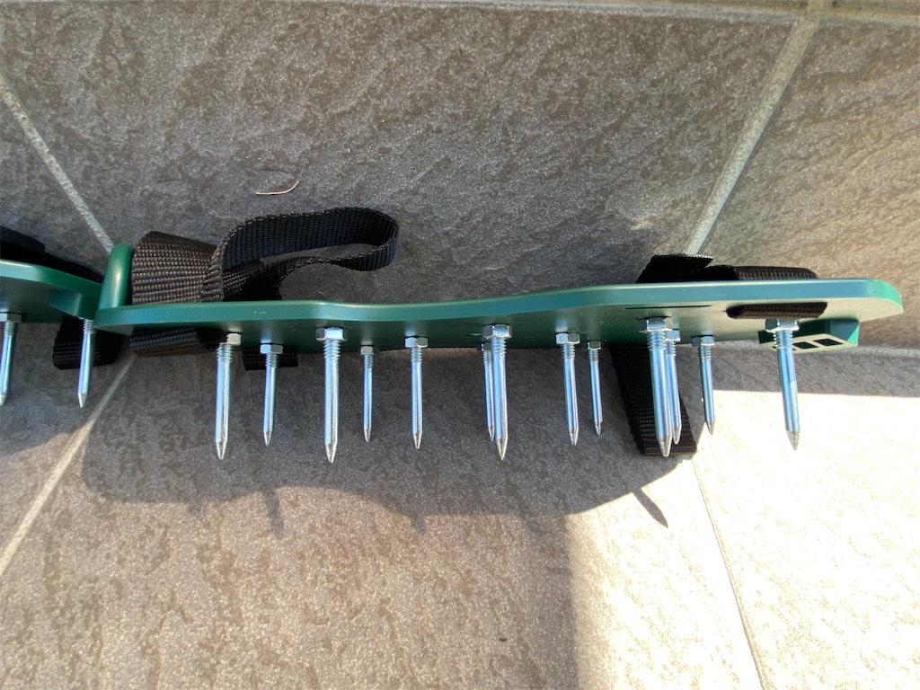 f:id:reiapapa:20220807140802j:image