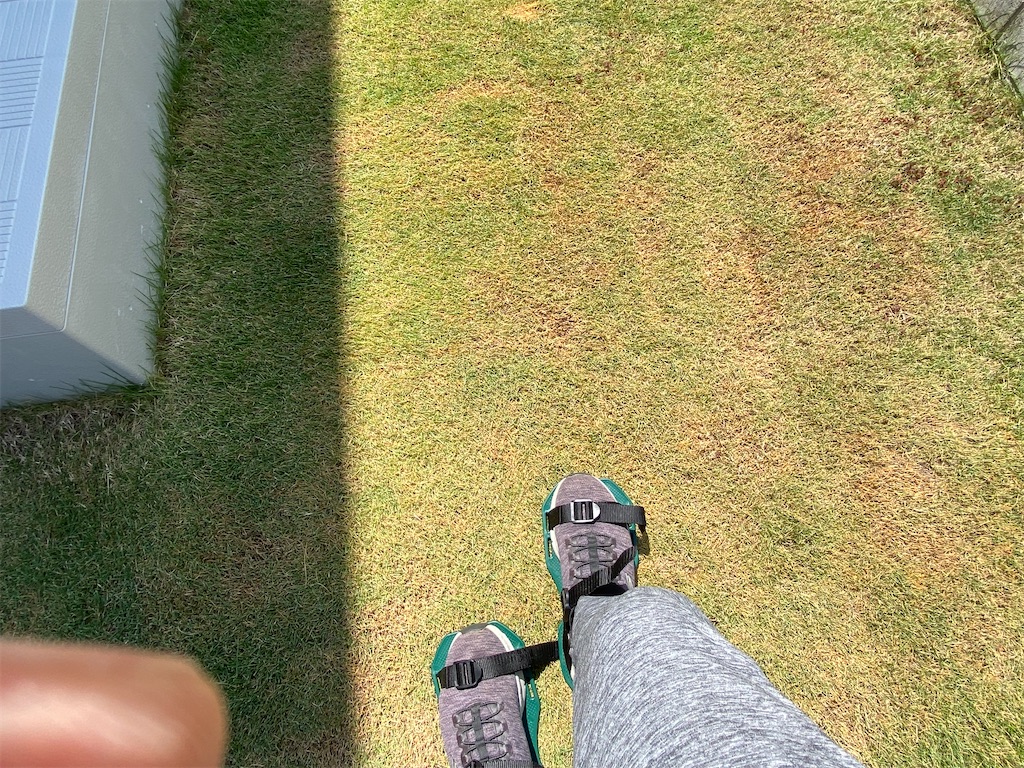 f:id:reiapapa:20220807141030j:image