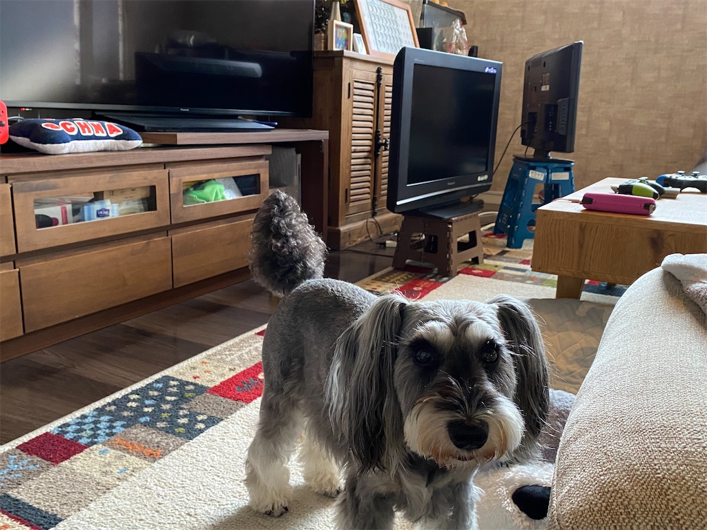 f:id:reiapapa:20220815190028j:image