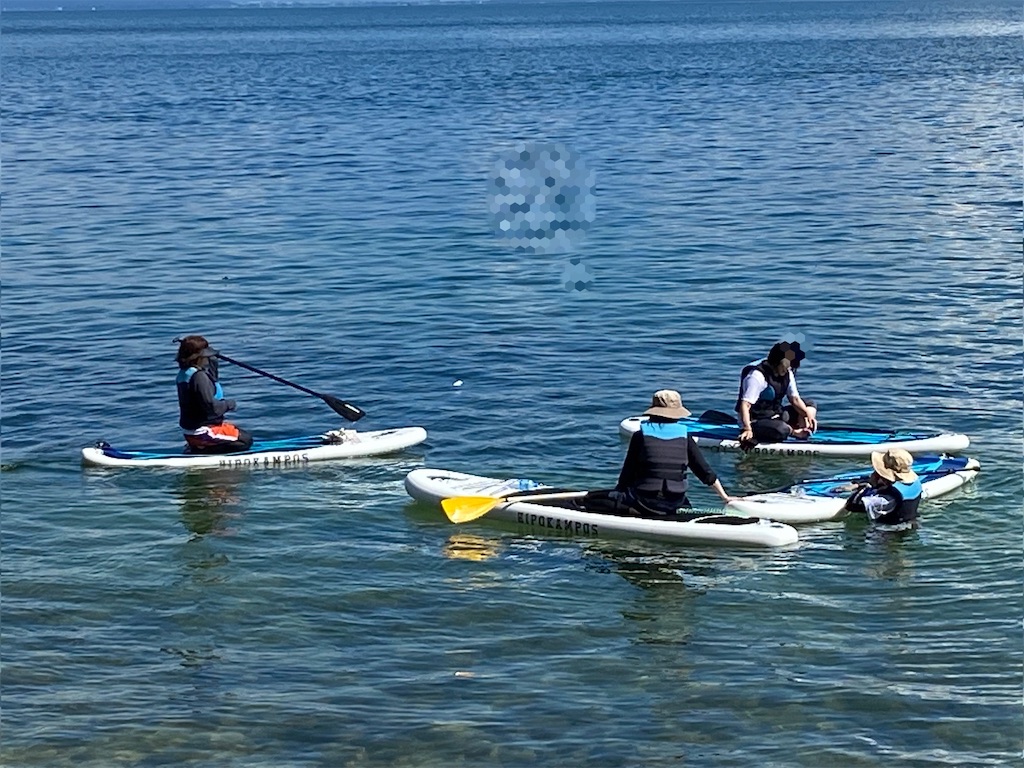 f:id:reiapapa:20220911054824j:image