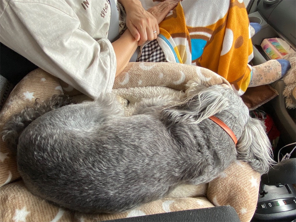 f:id:reiapapa:20220929153503j:image f:id:reiapapa:20220929153503j:image