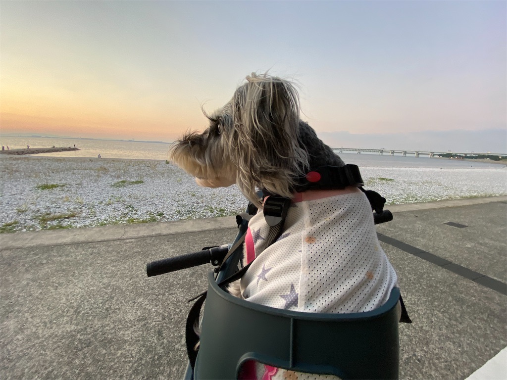 f:id:reiapapa:20220930200550j:image