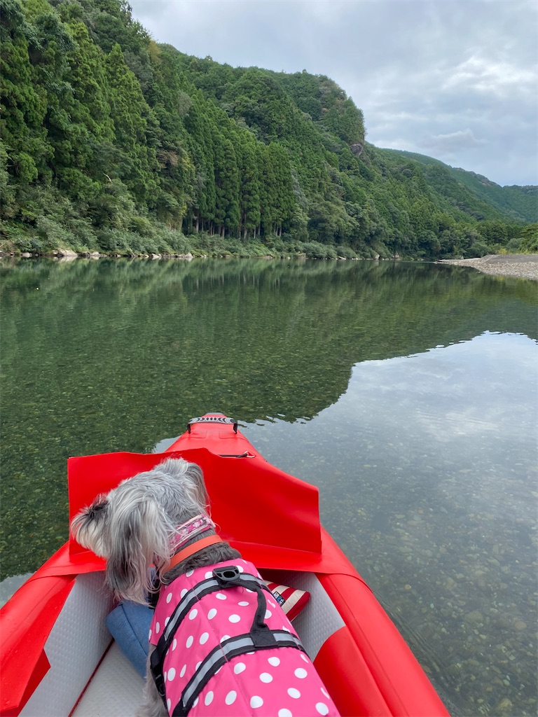 f:id:reiapapa:20221009175345j:image