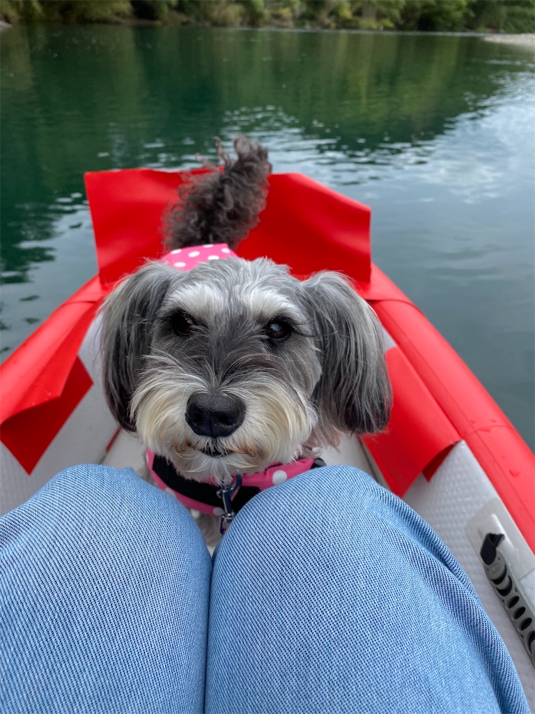 f:id:reiapapa:20221009183917j:image