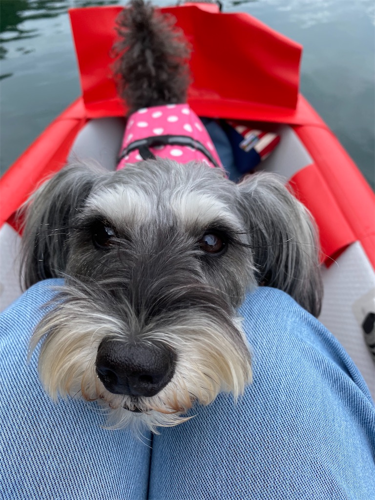 f:id:reiapapa:20221009184018j:image