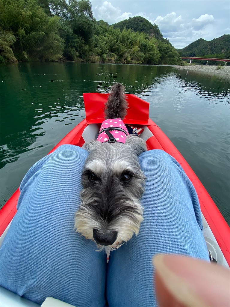 f:id:reiapapa:20221009184149j:image