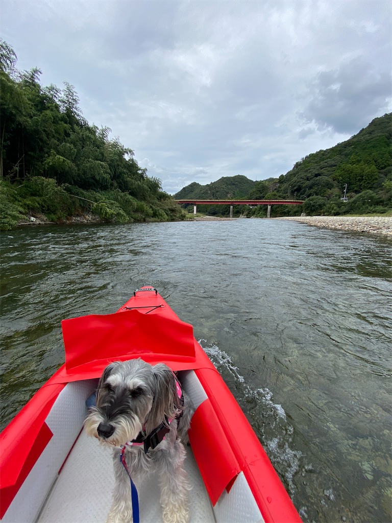 f:id:reiapapa:20221009185132j:image