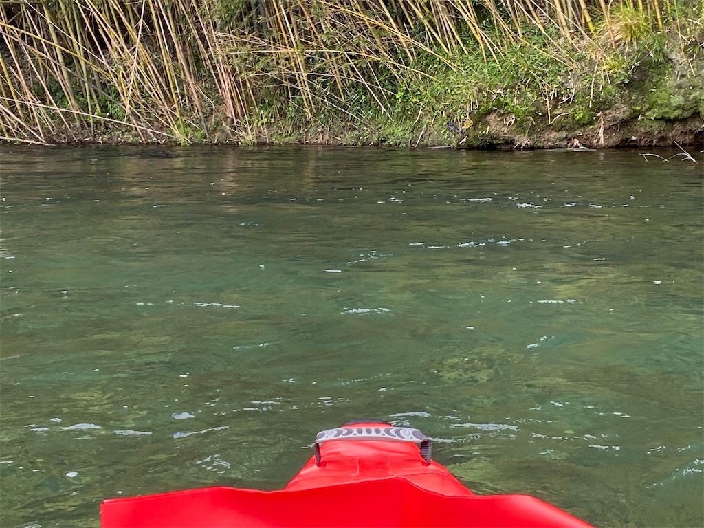 f:id:reiapapa:20221009190400j:image