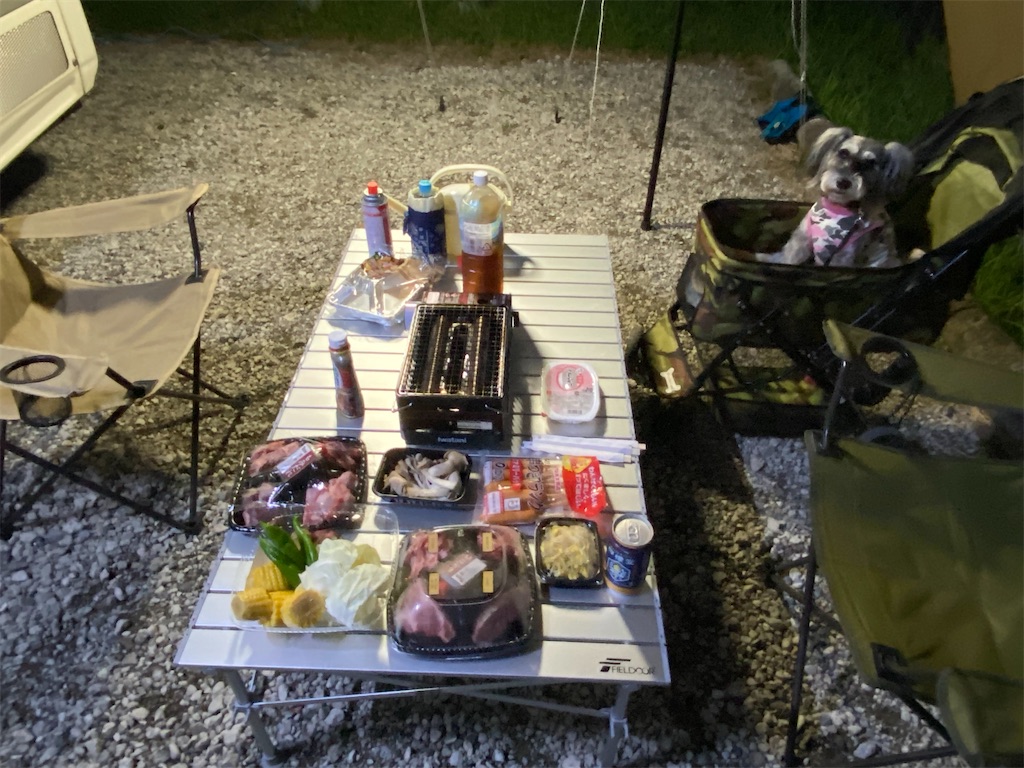 f:id:reiapapa:20221009205410j:image