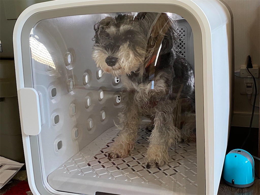 f:id:reiapapa:20221016100709j:image