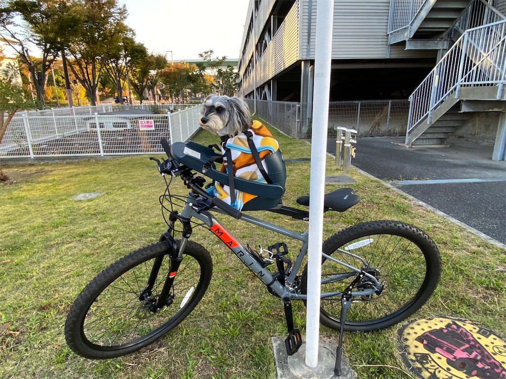 f:id:reiapapa:20221028115948j:image