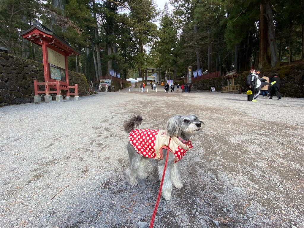 f:id:reiapapa:20230105223320j:image