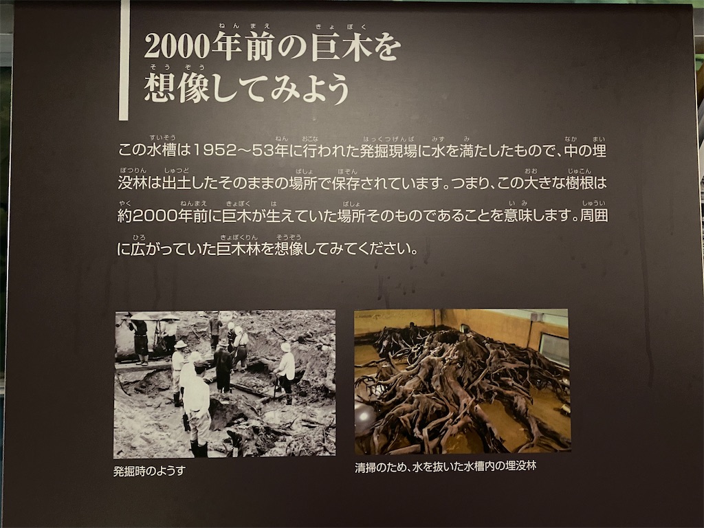 f:id:reiapapa:20230108170006j:image