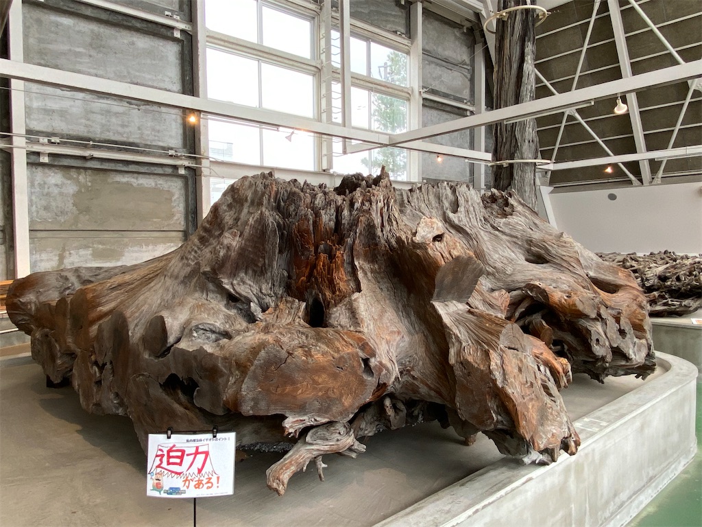 f:id:reiapapa:20230108170019j:image