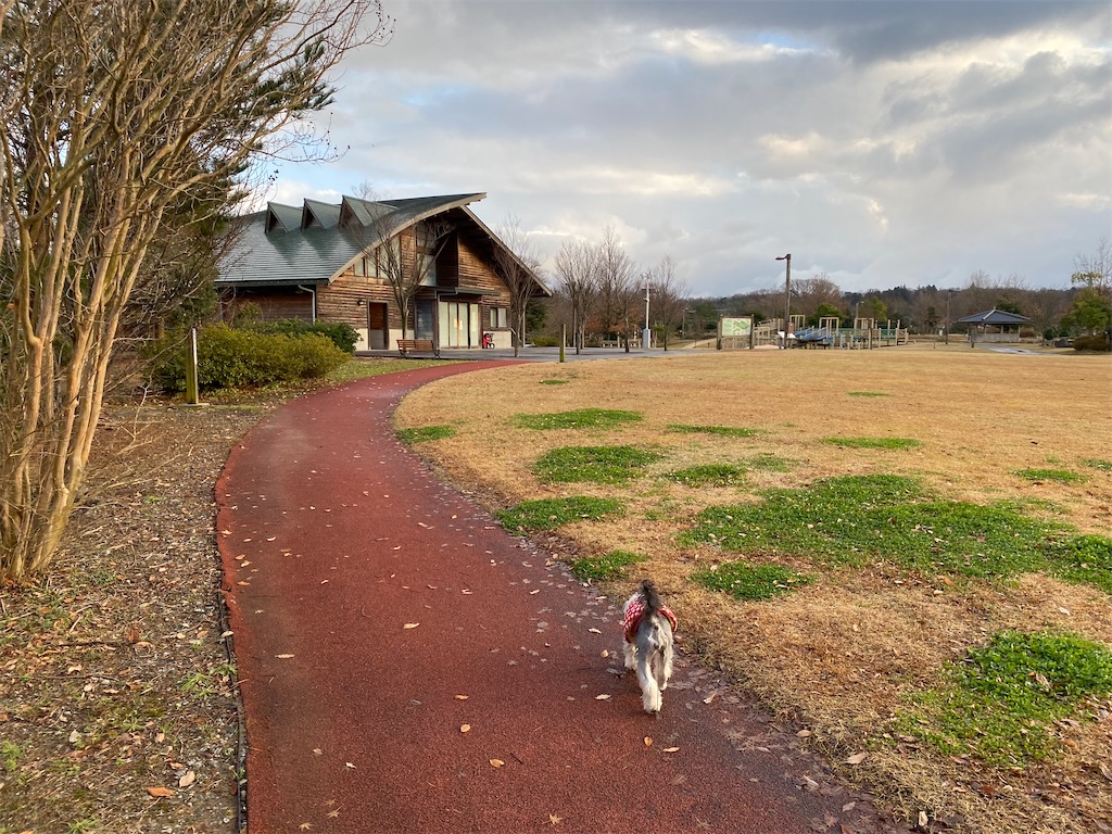 f:id:reiapapa:20230108171809j:image