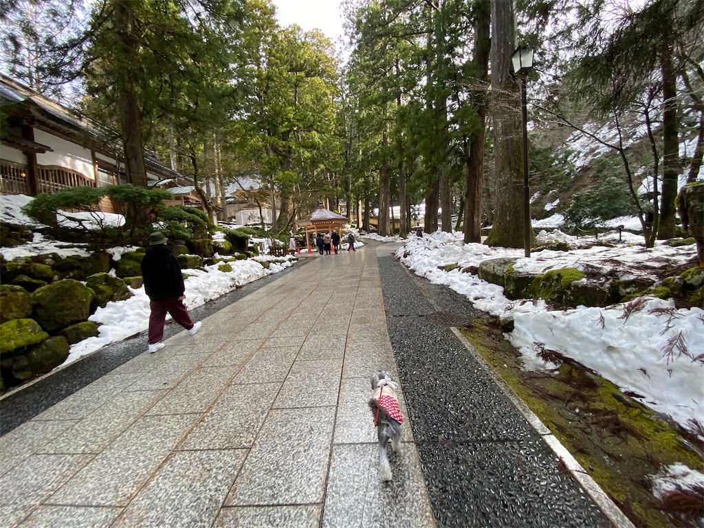 f:id:reiapapa:20230108175830j:image